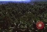 Image Bombardement américain de zones cibles Vietcong Vietnam, 1965, de la seconde 47 séquences d'archives historiques vidéo 65675054859