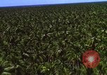Image Bombardement américain de zones cibles Vietcong Vietnam, 1965, de la seconde 53 séquences d'archives historiques vidéo 65675054859