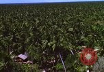 Image Bombardement américain de zones cibles Vietcong Vietnam, 1965, de la seconde 58 séquences d'archives historiques vidéo 65675054859