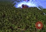 Image Vue aérienne d'explosion de bombes au phosphore blanc Guerre du Vietnam Vietnam, 1965, de la seconde 47 séquences d'archives historiques vidéo 65675054860