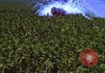 Image Vue aérienne d'explosion de bombes au phosphore blanc Guerre du Vietnam Vietnam, 1965, de la seconde 49 séquences d'archives historiques vidéo 65675054860