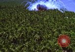 Image Vue aérienne d'explosion de bombes au phosphore blanc Guerre du Vietnam Vietnam, 1965, de la seconde 50 séquences d'archives historiques vidéo 65675054860