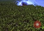 Image Vue aérienne d'explosion de bombes au phosphore blanc Guerre du Vietnam Vietnam, 1965, de la seconde 52 séquences d'archives historiques vidéo 65675054860