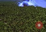 Image Vue aérienne d'explosion de bombes au phosphore blanc Guerre du Vietnam Vietnam, 1965, de la seconde 54 séquences d'archives historiques vidéo 65675054860