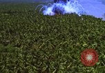 Image Vue aérienne d'explosion de bombes au phosphore blanc Guerre du Vietnam Vietnam, 1965, de la seconde 55 séquences d'archives historiques vidéo 65675054860