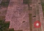 Image of Viet Cong huts bombed Bien Hoa Vietnam, 1965, second 7 stock footage video 65675054875