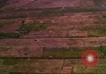 Image of Viet Cong huts bombed Bien Hoa Vietnam, 1965, second 32 stock footage video 65675054876