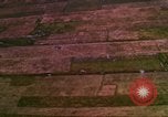 Image of Viet Cong huts bombed Bien Hoa Vietnam, 1965, second 33 stock footage video 65675054876