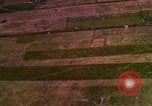 Image of Viet Cong huts bombed Bien Hoa Vietnam, 1965, second 35 stock footage video 65675054876