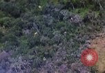 Immagine di Il Viet Cong capanne bombardato Soc Trang Vietnam, 1965, secondo 5 filmato di repertorio 65675054882