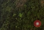 Immagine di Il Viet Cong capanne bombardato Soc Trang Vietnam, 1965, secondo 41 filmato di repertorio 65675054882