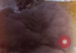 Image of bombardment of Viet Cong huts Vietnam, 1965, second 57 stock footage video 65675054890