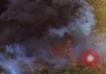 Image of bombardment of Viet Cong huts Vietnam, 1965, second 62 stock footage video 65675054890