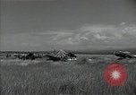 Immagine di Missione Malabang Malabang Filippine, 1945, secondo 3 filmato di repertorio 65675054901