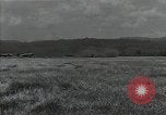 Immagine di Missione Malabang Malabang Filippine, 1945, secondo 56 filmato di repertorio 65675054901