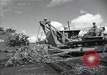Image of Malabang mission Malabang Philippines, 1945, second 25 stock footage video 65675054906