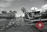 Image of Malabang mission Malabang Philippines, 1945, second 26 stock footage video 65675054906