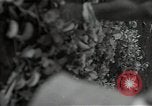 Image of Malabang mission Malabang Philippines, 1945, second 46 stock footage video 65675054907