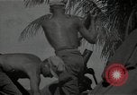 Image of Philippines Campaign Luzon Island Philippines, 1945, second 40 stock footage video 65675054919