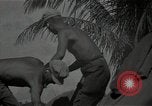 Image of Philippines Campaign Luzon Island Philippines, 1945, second 42 stock footage video 65675054919