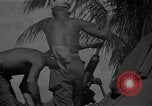 Image of Philippines Campaign Luzon Island Philippines, 1945, second 43 stock footage video 65675054919