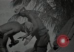 Image of Philippines Campaign Luzon Island Philippines, 1945, second 44 stock footage video 65675054919