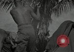 Image of Philippines Campaign Luzon Island Philippines, 1945, second 47 stock footage video 65675054919