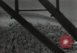 Image of Philippines Campaign Philippines, 1945, second 16 stock footage video 65675054921