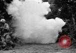 Image of Battle of Okinawa Okinawa Ryukyu Islands, 1945, second 16 stock footage video 65675054924