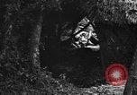 Image of Battle of Okinawa Okinawa Ryukyu Islands, 1945, second 27 stock footage video 65675054924