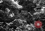 Image of Battle of Okinawa Okinawa Ryukyu Islands, 1945, second 46 stock footage video 65675054924