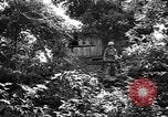Image of Battle of Okinawa Okinawa Ryukyu Islands, 1945, second 52 stock footage video 65675054924