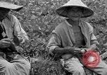 Image travailleurs d'Okinawa Okinawa îles Ryukyu, 1945, de la seconde 54 séquences d'archives historiques vidéo 65675054928