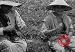 Image travailleurs d'Okinawa Okinawa îles Ryukyu, 1945, de la seconde 55 séquences d'archives historiques vidéo 65675054928