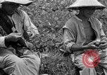 Image travailleurs d'Okinawa Okinawa îles Ryukyu, 1945, de la seconde 56 séquences d'archives historiques vidéo 65675054928