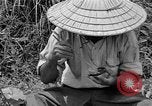Image travailleurs d'Okinawa Okinawa îles Ryukyu, 1945, de la seconde 58 séquences d'archives historiques vidéo 65675054928