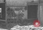 Image of orphaned children Okinawa Ryukyu Islands, 1945, second 29 stock footage video 65675054929
