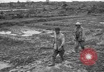 Image of Japanese prisoners Okinawa Ryukyu Islands, 1945, second 7 stock footage video 65675054930
