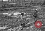 Image of Japanese prisoners Okinawa Ryukyu Islands, 1945, second 8 stock footage video 65675054930