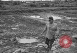Image of Japanese prisoners Okinawa Ryukyu Islands, 1945, second 10 stock footage video 65675054930
