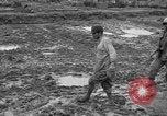 Image of Japanese prisoners Okinawa Ryukyu Islands, 1945, second 12 stock footage video 65675054930