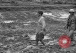 Image of Japanese prisoners Okinawa Ryukyu Islands, 1945, second 13 stock footage video 65675054930
