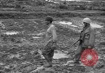 Image of Japanese prisoners Okinawa Ryukyu Islands, 1945, second 14 stock footage video 65675054930