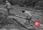 Image of Japanese prisoners Okinawa Ryukyu Islands, 1945, second 19 stock footage video 65675054930