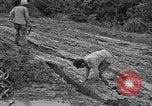 Image of Japanese prisoners Okinawa Ryukyu Islands, 1945, second 20 stock footage video 65675054930