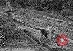 Image of Japanese prisoners Okinawa Ryukyu Islands, 1945, second 21 stock footage video 65675054930