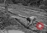 Image of Japanese prisoners Okinawa Ryukyu Islands, 1945, second 22 stock footage video 65675054930