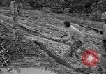Image of Japanese prisoners Okinawa Ryukyu Islands, 1945, second 23 stock footage video 65675054930