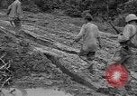 Image of Japanese prisoners Okinawa Ryukyu Islands, 1945, second 24 stock footage video 65675054930