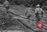 Image of Japanese prisoners Okinawa Ryukyu Islands, 1945, second 25 stock footage video 65675054930